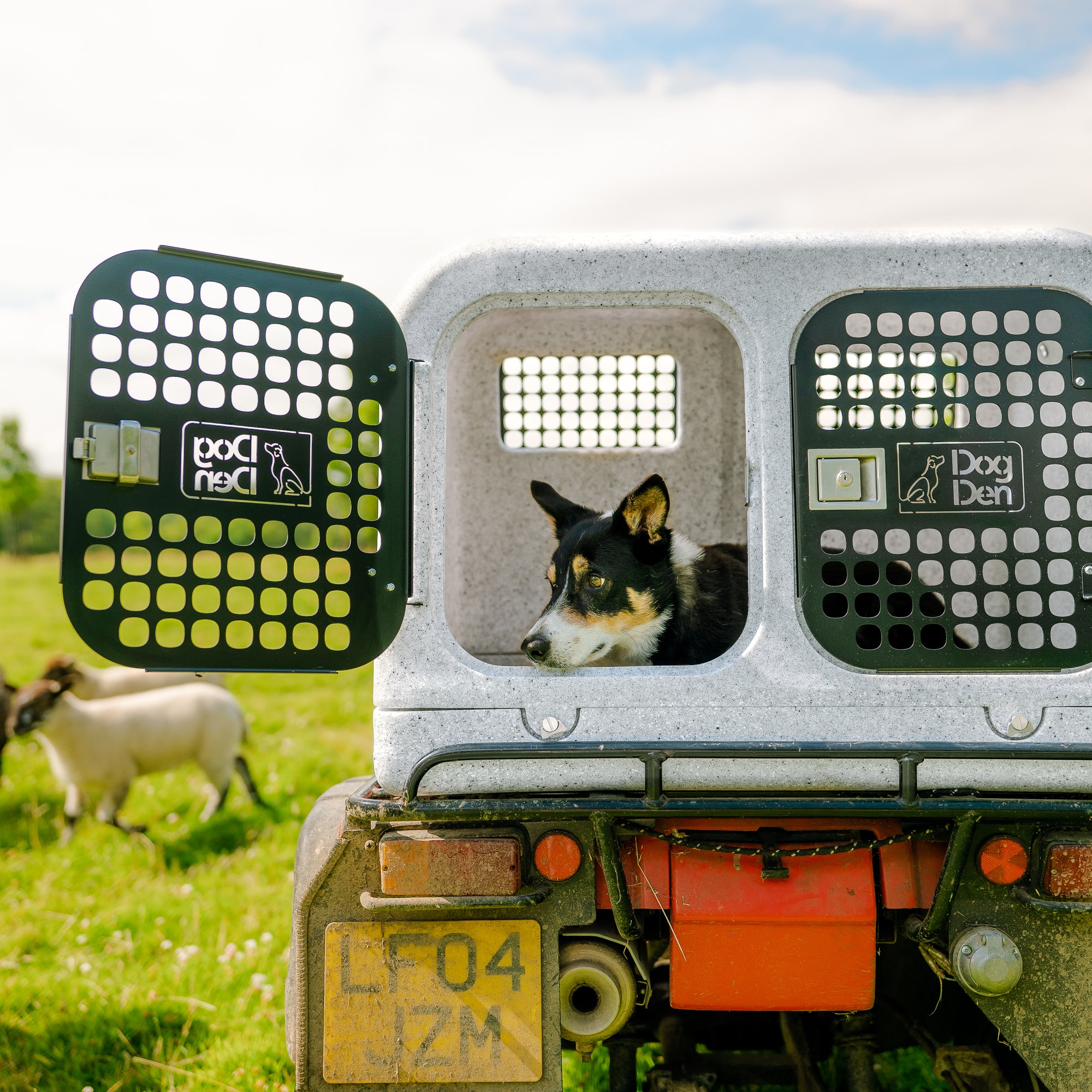 The Dog Den Difference: Summer Heat, Metal Boxes & Colours