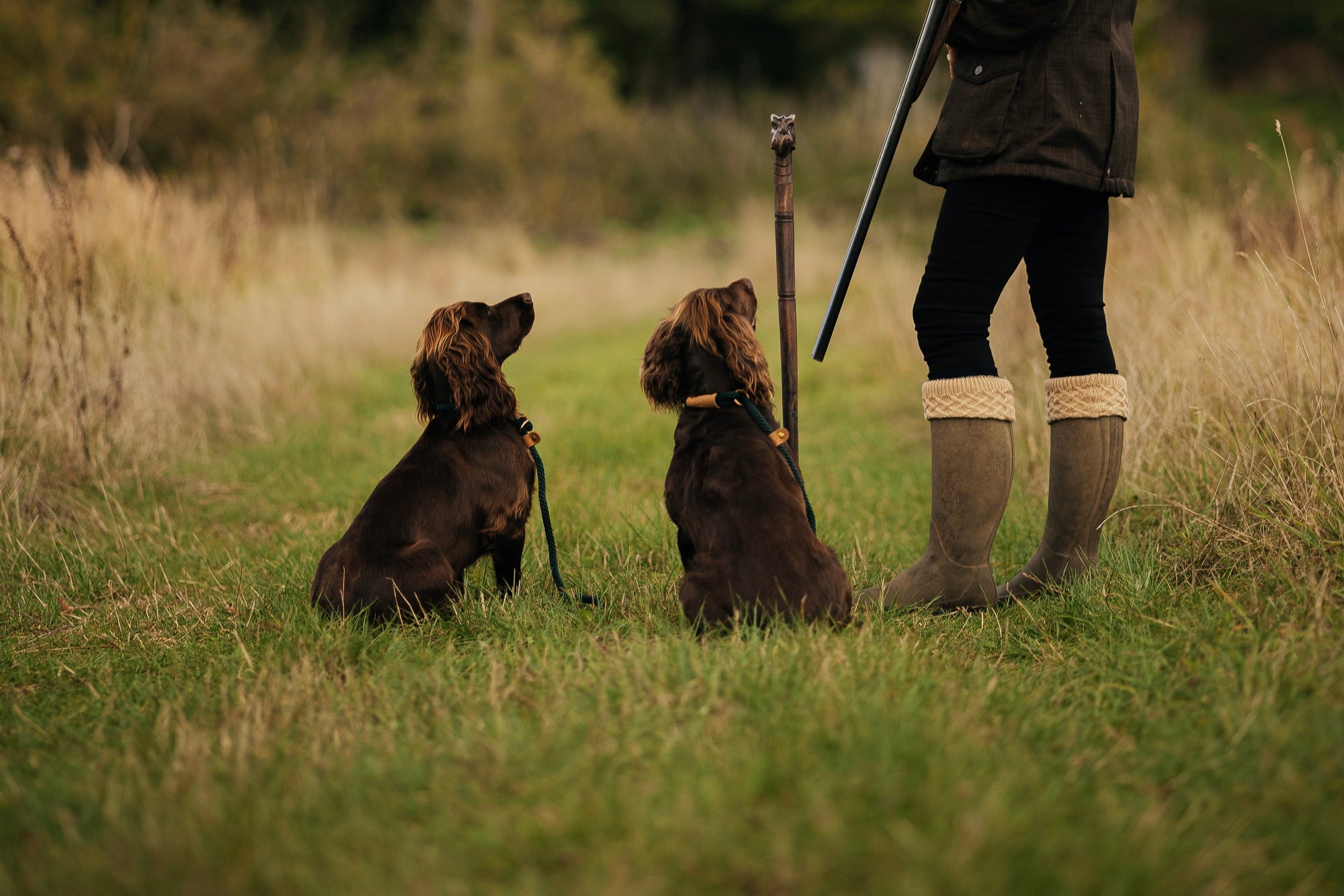 Season of the Working Dog