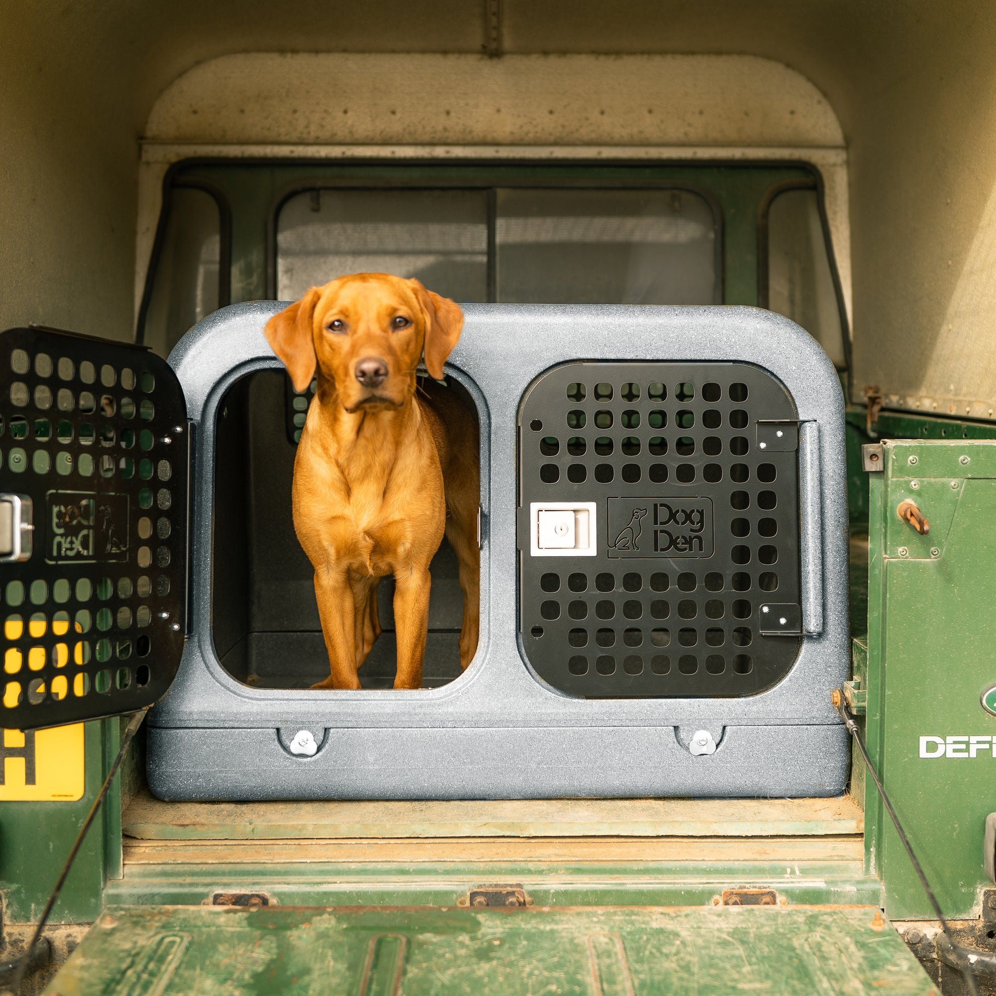 fox-red labrador inside gunmetal black dog den