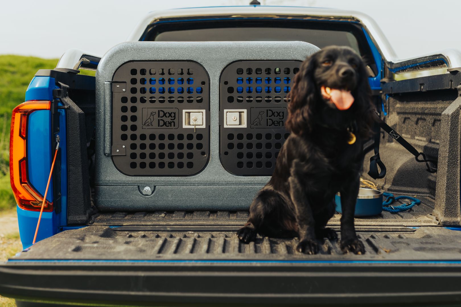 black spaniel sat with the gunmetal dog den in the back of a blue amarok aventura