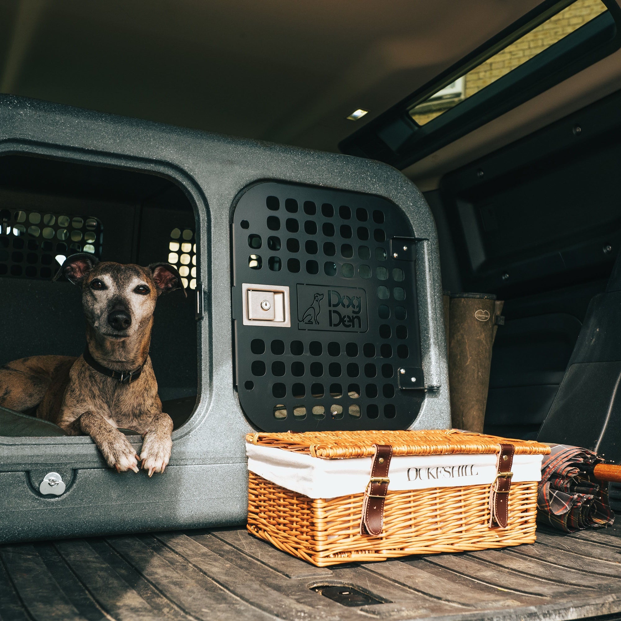 lurcher inside the gunmetal black dog den in a new defender 90 boot