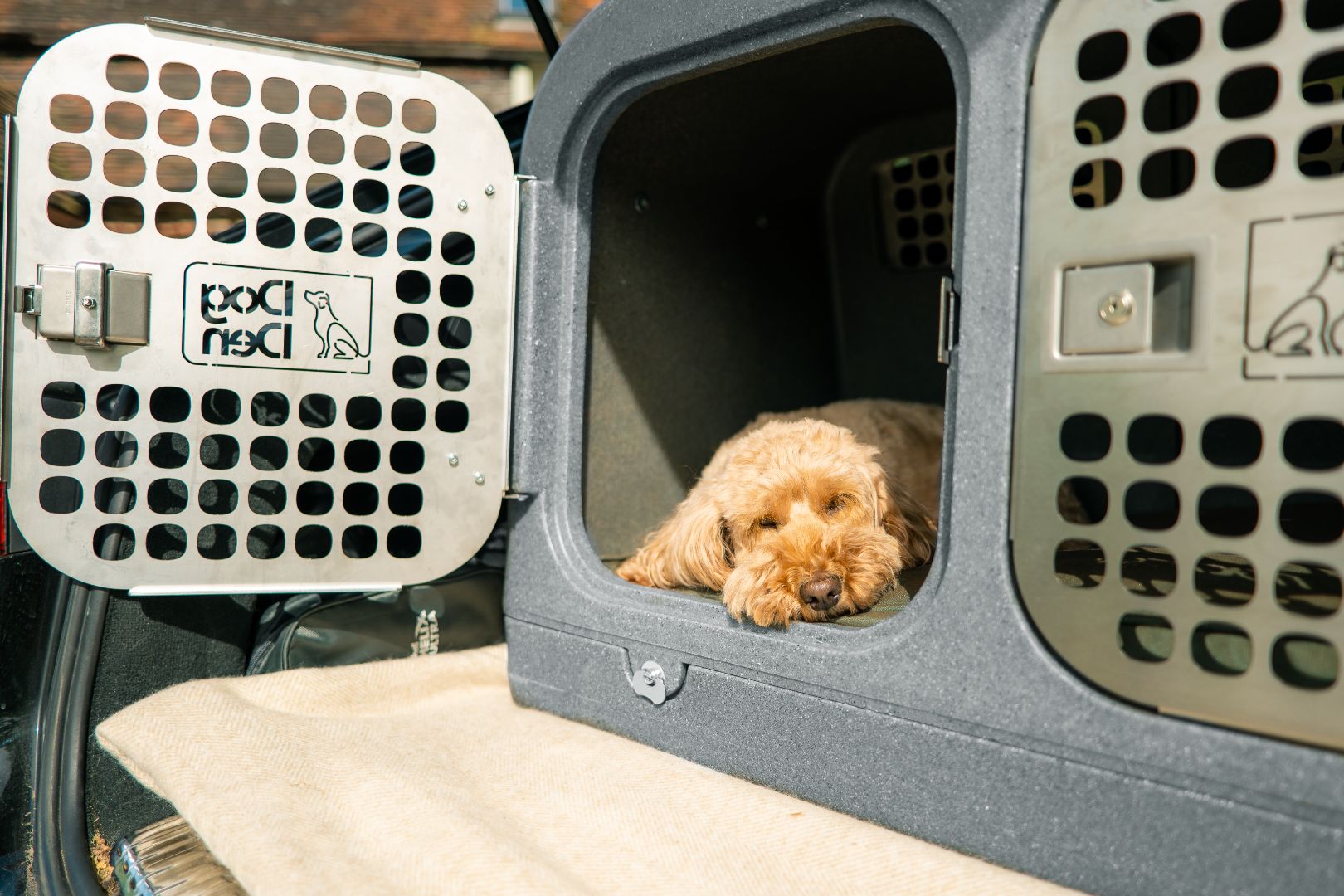 Dog Den Travel Crate Dog Box Crash Tested Dog Den Products Ltd