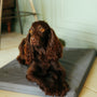 Flint Grey Den Mat