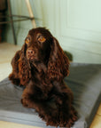 Flint Grey Den Mat