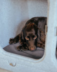 Flint Grey Den Mat