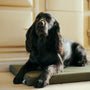 Pine Green Den Mat