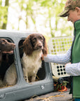 two cocker spaniels inside the dog den about to go rabbit shooting