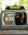 brown spaniel sat inside the gunmetal silver dog den on a gator in suffolk woods