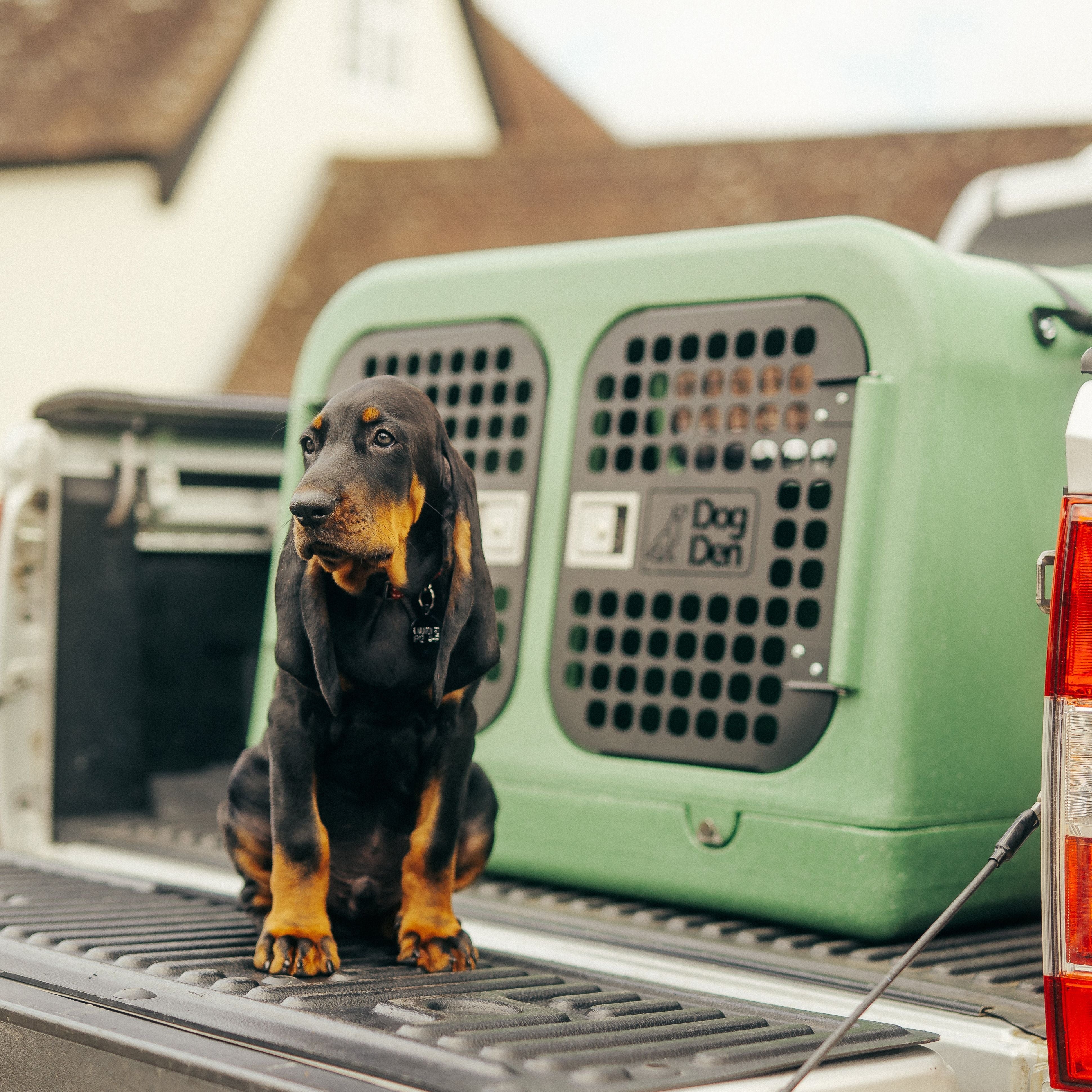 Dog Den Travel Crate Dog Box Crash Tested Dog Den Products Ltd