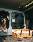 lurcher inside the gunmetal black dog den in a new defender 90 boot
