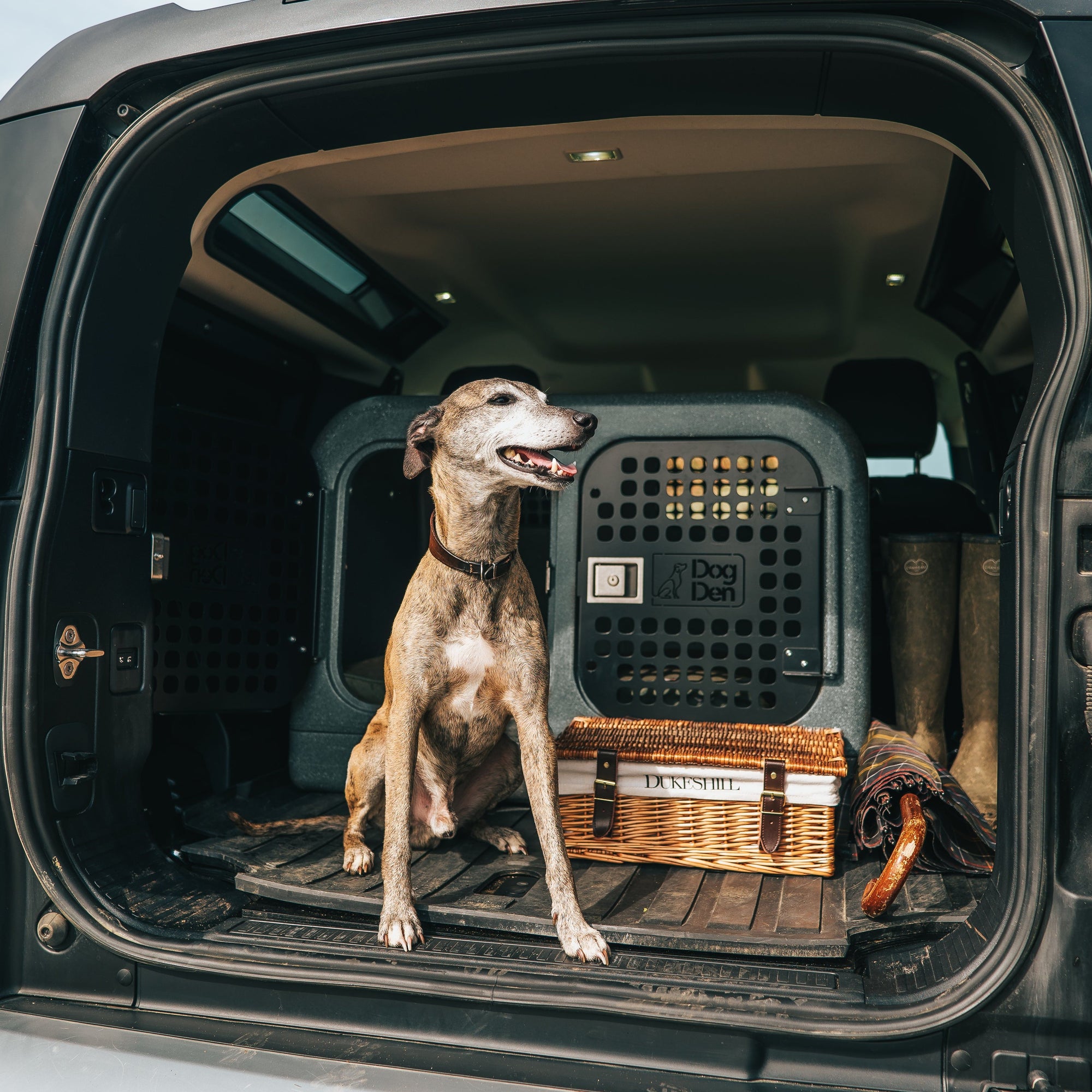 lurcher standing by the gunmetal black dog den in a new defender 90 boot