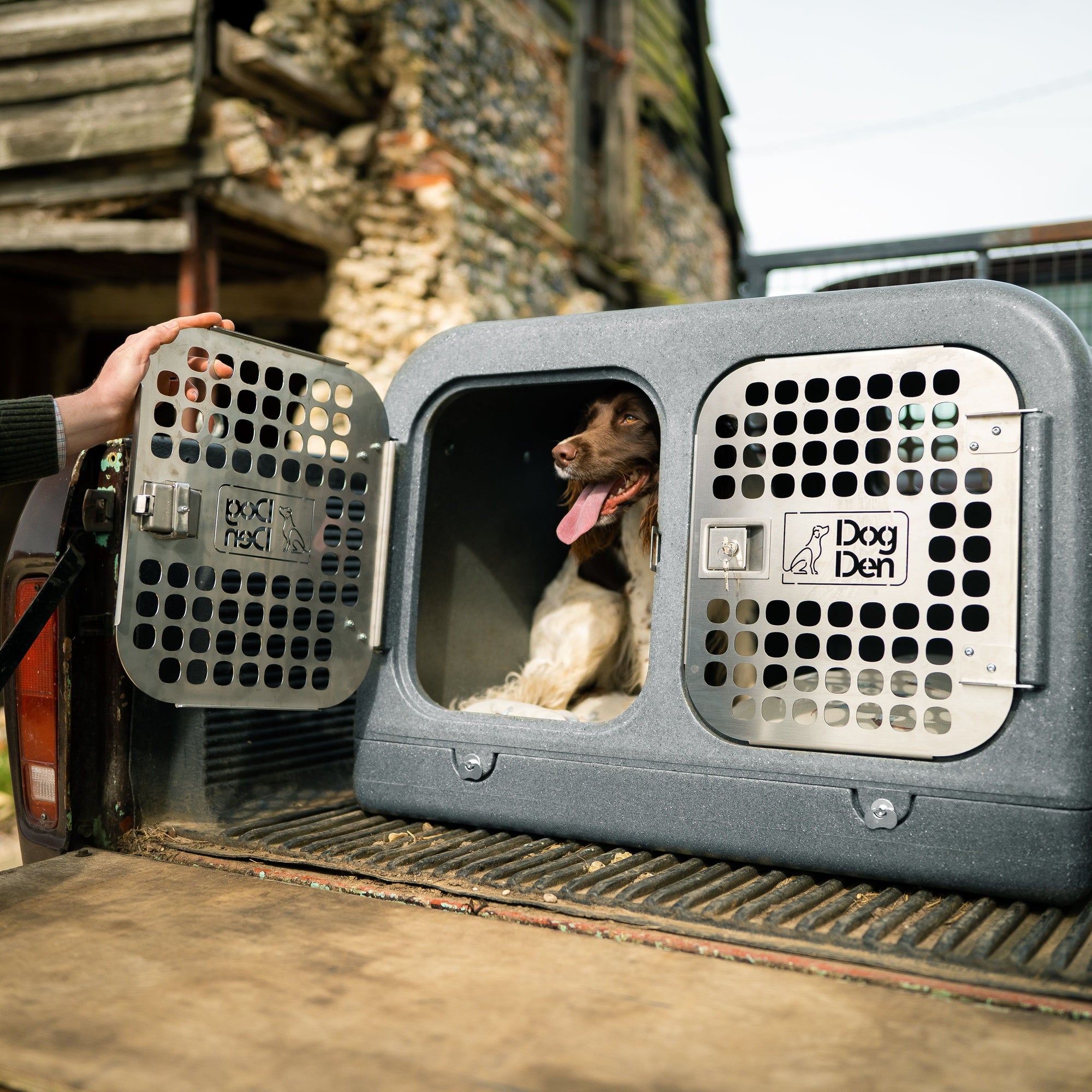 springer spaniel inside the gunmetal silver dog den in farmyard