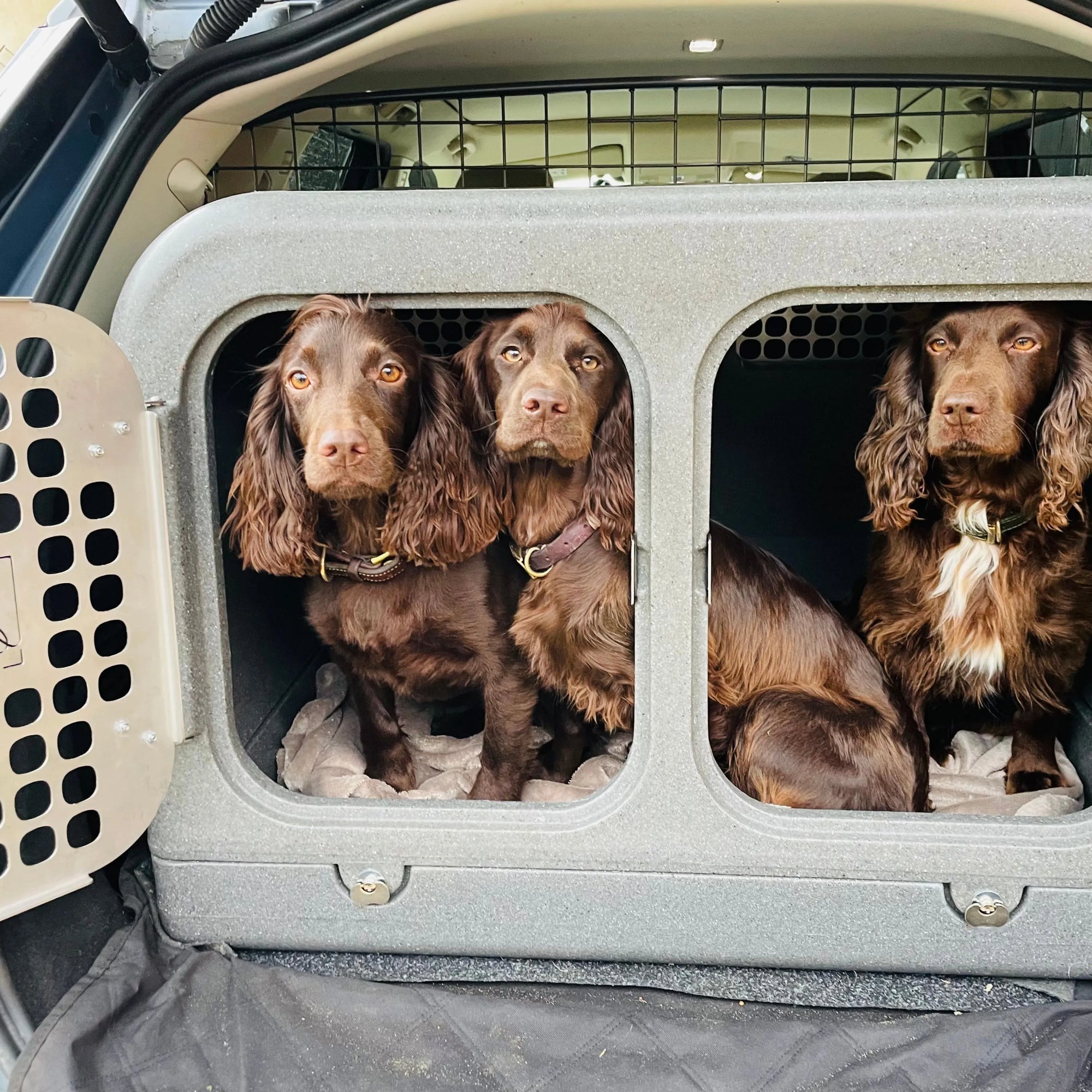 three brown spaniels sat inside the gunmetal silver dog den in a land rover discovery boot