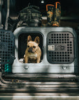 frenchie inside gunmetal black dog den